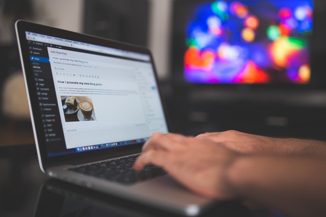 Bisnis Online 2020 Menjual Plugin dan Template WordPress