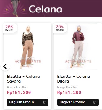Elzatta
