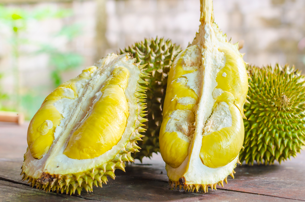 tips puasa bagi penderita sakit maag