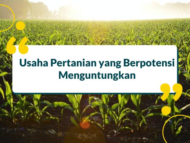 Usaha Yang Berhubungan Dengan Pertanian