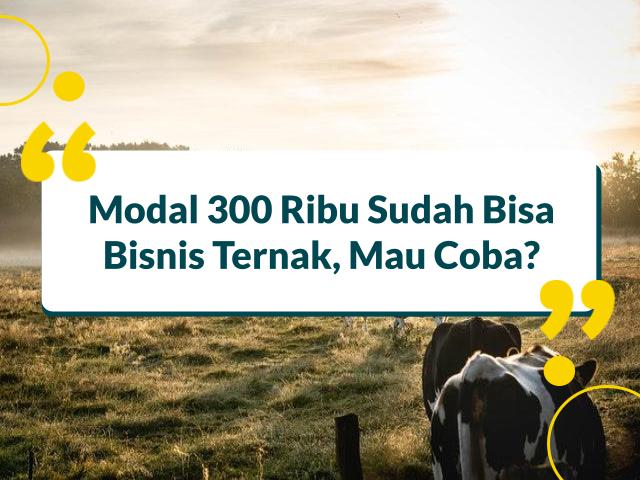 Usaha Ternak Modal 300 Ribu
