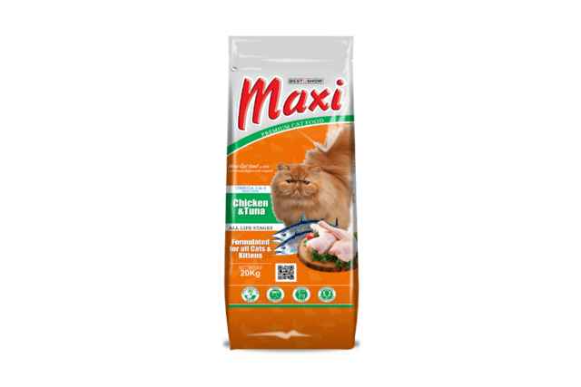 makanan kucing murah
