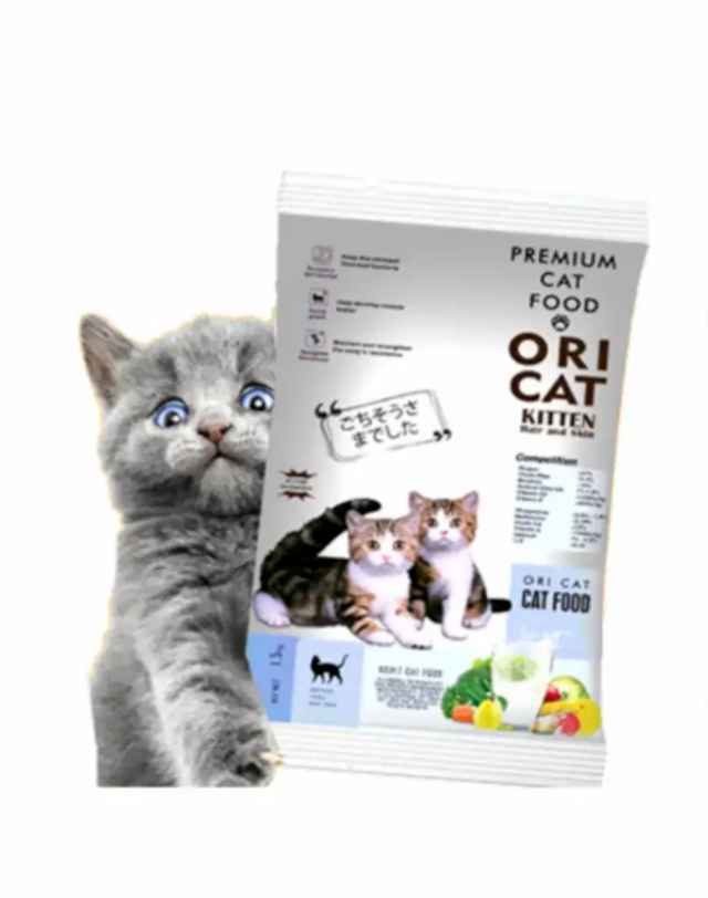 makanan kucing murah