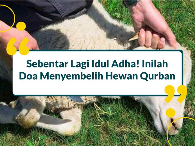 doa menyembelih hewan qurban