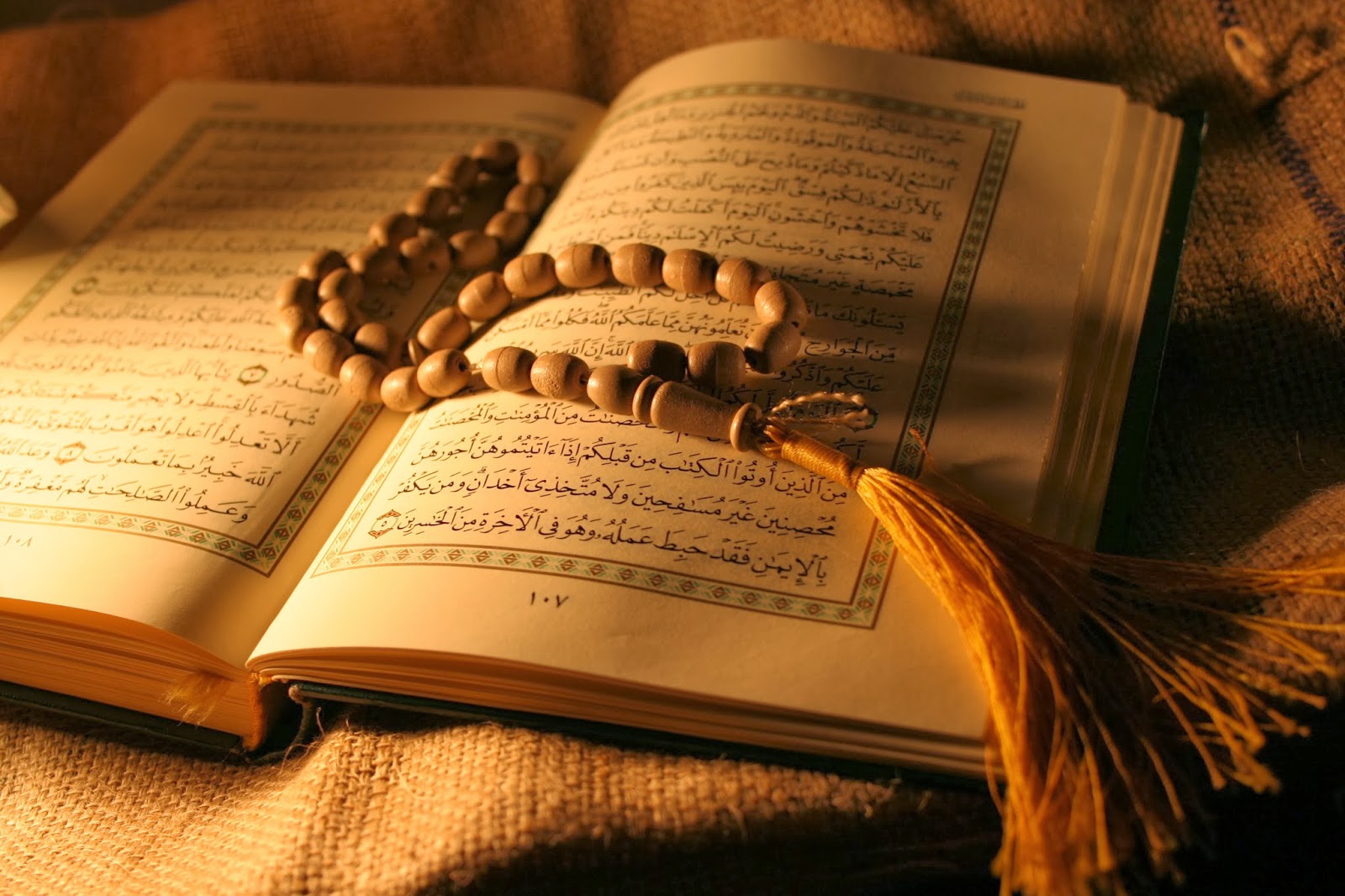 Ayat alqurna tentang makhluk sosial