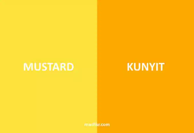kunyit