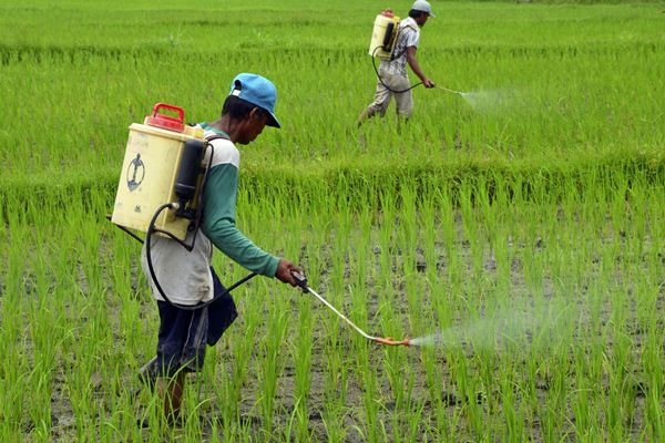 Tanggal 24 September Diperingati sebagai Hari