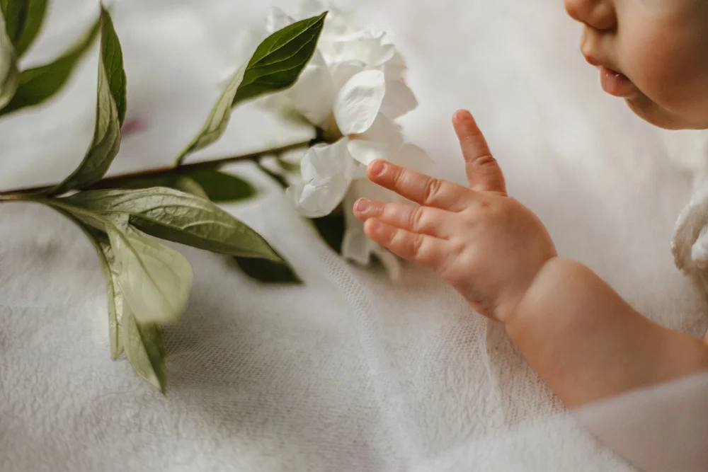 aqiqah anak lelaki