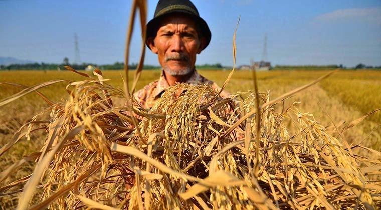 Tanggal 24 September Diperingati sebagai Hari