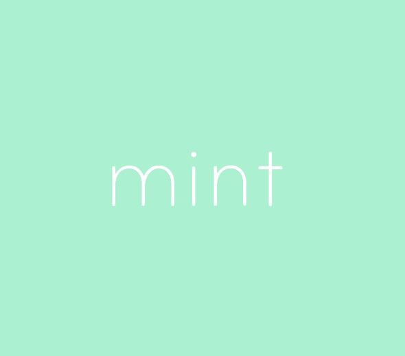 Baju Warna Mint Cocok dengan Jilbab Warna Apa