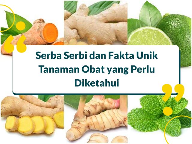 tanaman obat