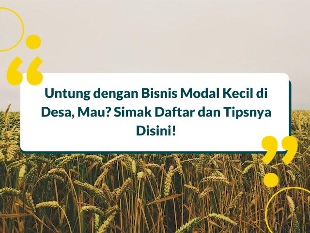 usaha yang menguntungkan di desa
