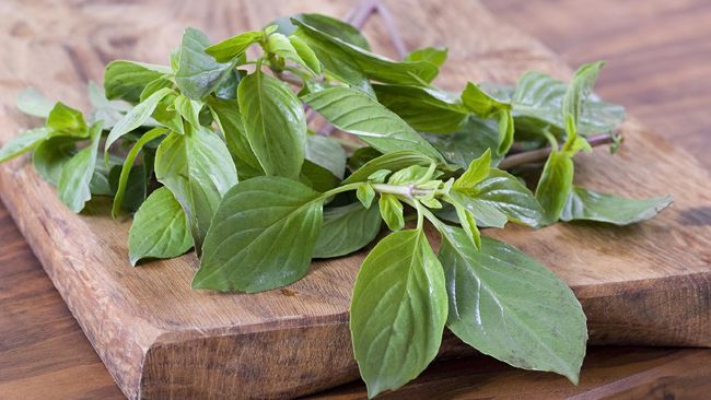 Daun kemangi