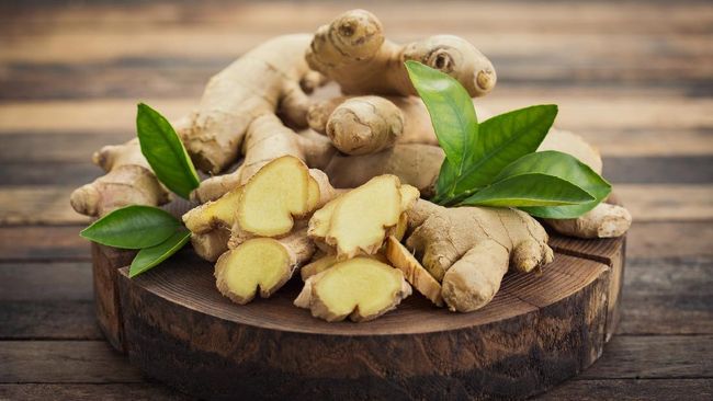 Jenis Tanaman Obat