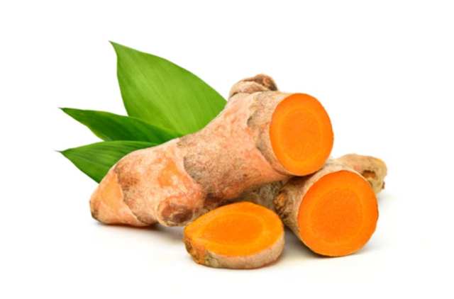 tumbuhan obat