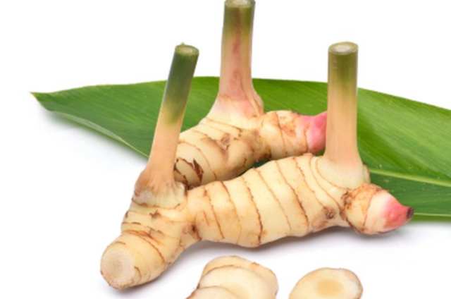 tumbuhan obat