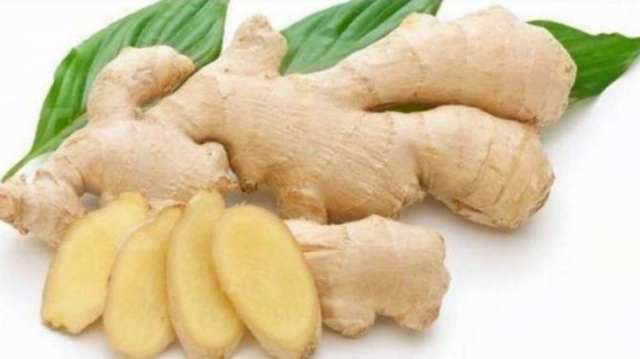 tumbuhan obat