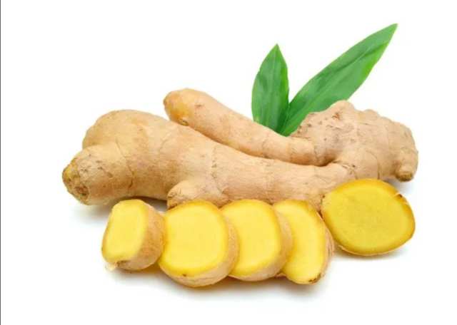 tumbuhan obat