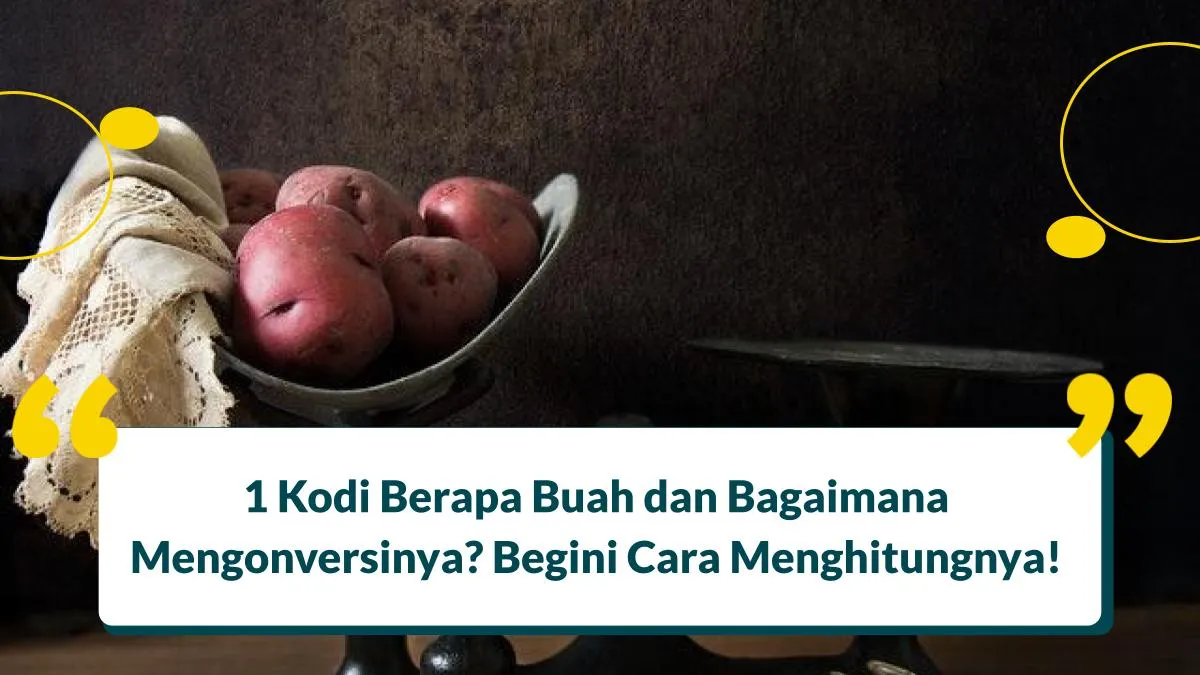 1 Kodi Berapa Buah dan Konversinya? Begini Cara Menghitungnya!