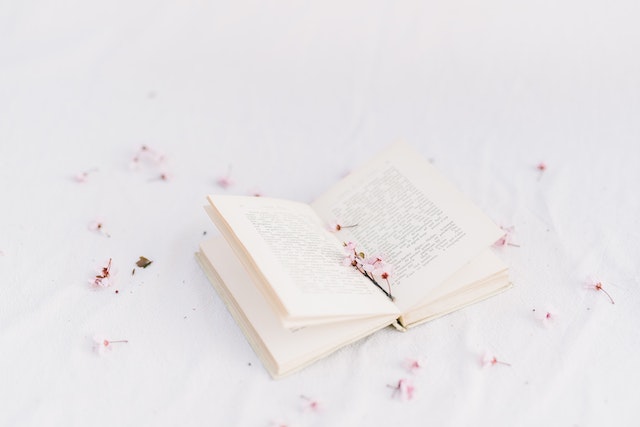 Bio IG singkat Aesthetic Bahasa Inggris