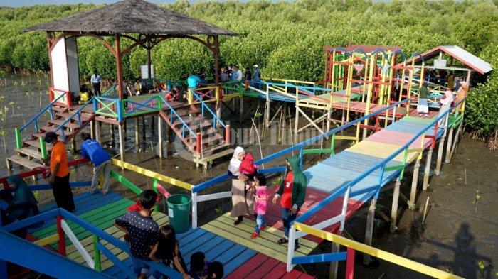 Mangrove