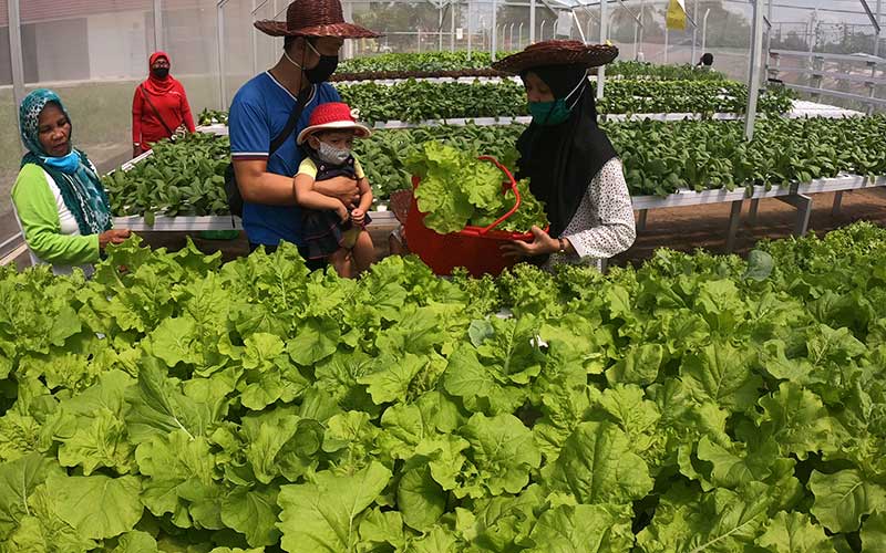 Sebutkan Tiga Usaha Perekonomian di Masyarakat Indonesia Beserta Contohnya