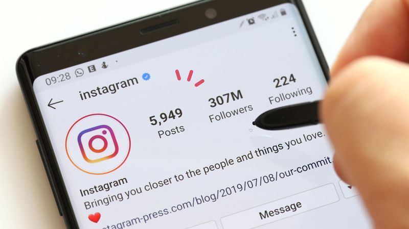 Biodata IG