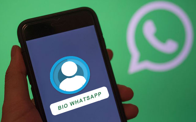 Bio WhatsApp Aesthetic