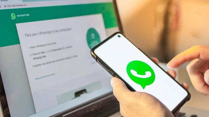 Bio WhatsApp Aesthetic