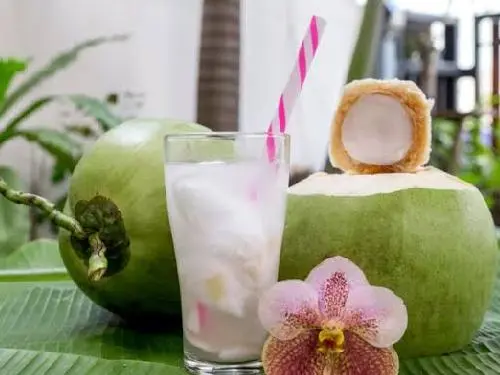 Kelapa muda