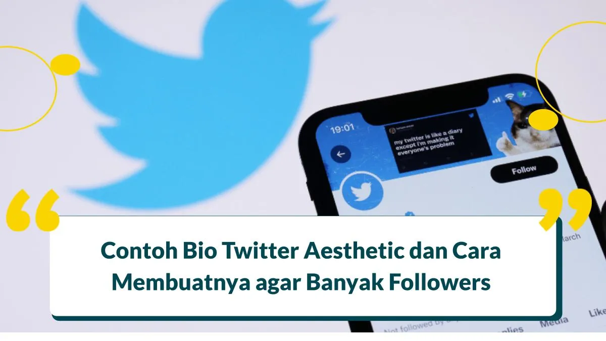 Bio Twitter Aesthetic