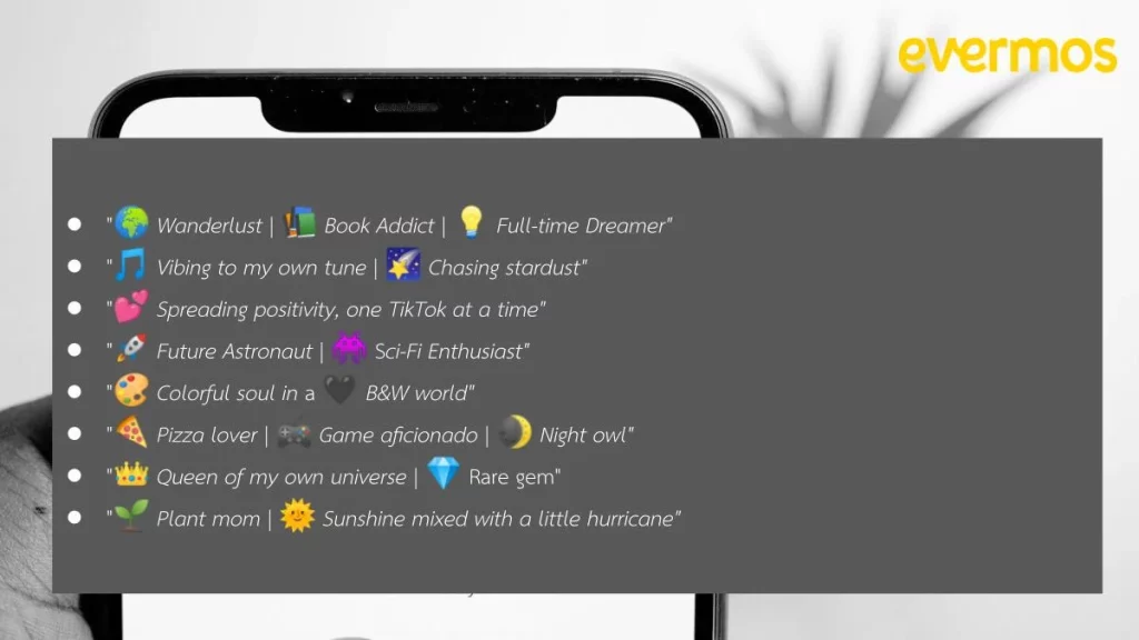 bio tiktok aesthetic