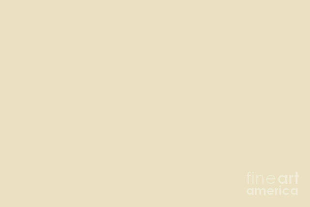 Beige 