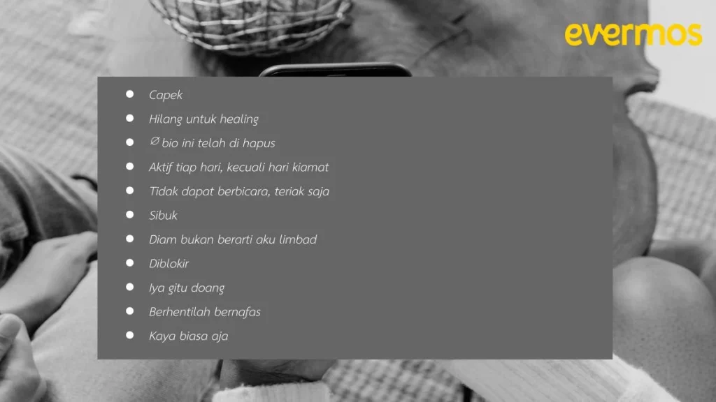 bio tiktok aesthetic