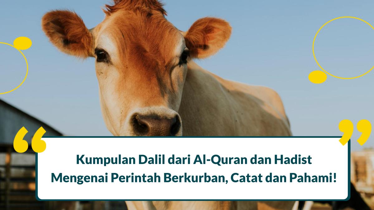 dalil perintah berkurban adalah