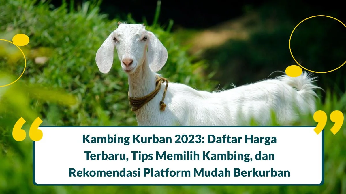 harga kambing kurban 2022