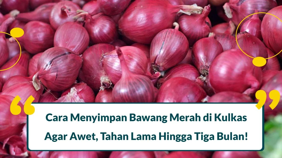 cara menyimpan bawang merah di kulkas agar awet