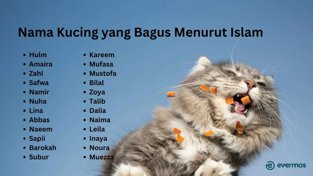 ide nama kucing lucu