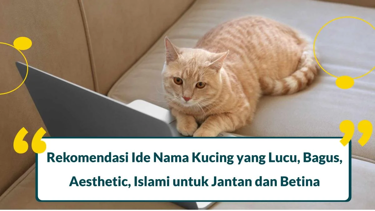 ide nama kucing lucu