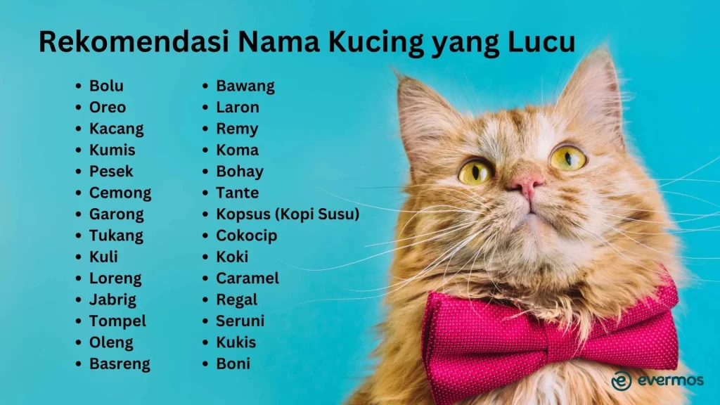 ide nama kucing lucu