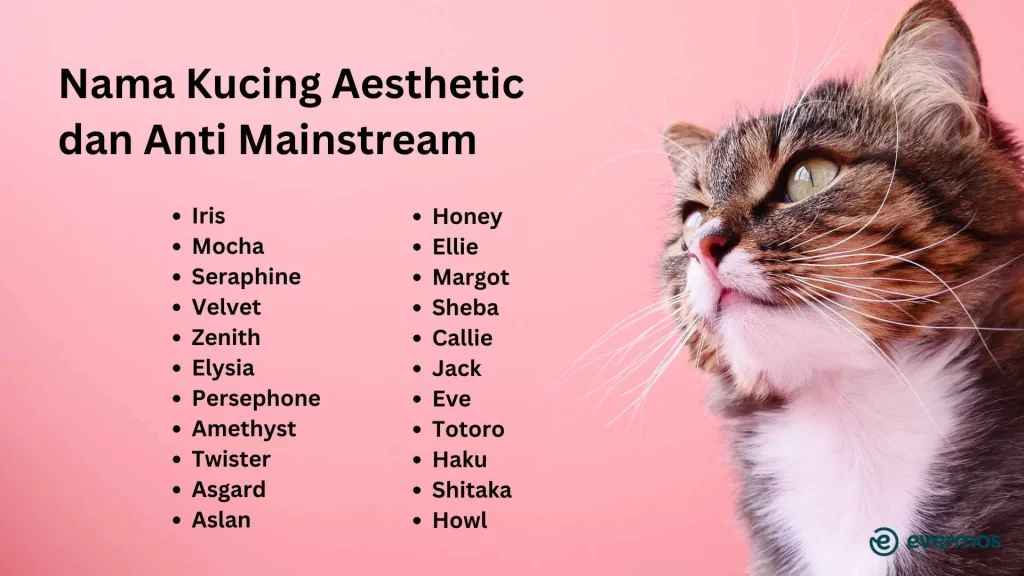 ide nama kucing lucu