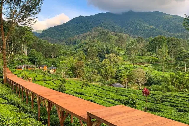 tempat wisata baru di bogor yang lagi hits