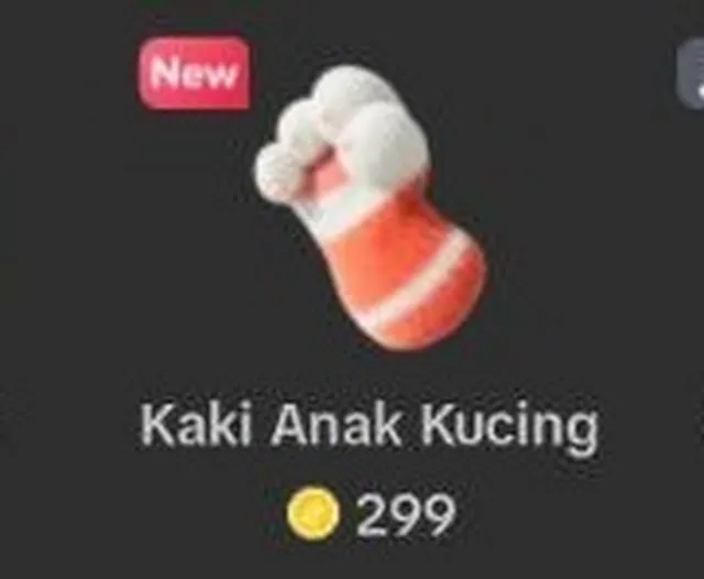 gif kucing tiktok berapa rupiah
