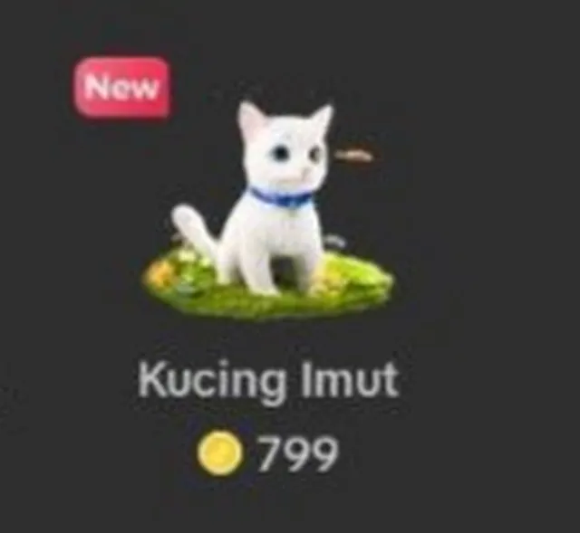gif kucing tiktok berapa rupiah