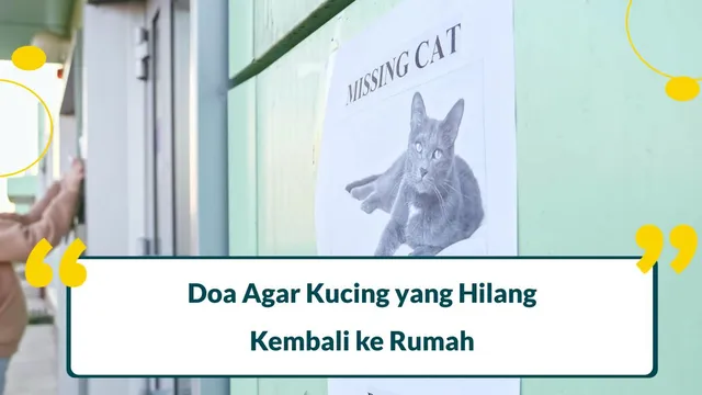 doa agar kucing yang hilang bisa kembali