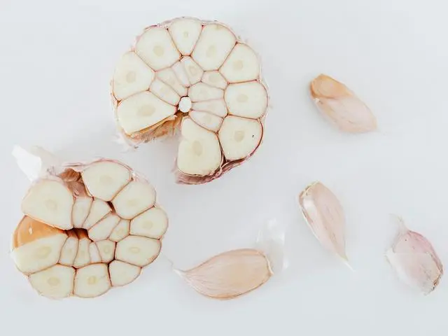 5 Daftar Supplier Bawang Putih Terbaik di Indonesia