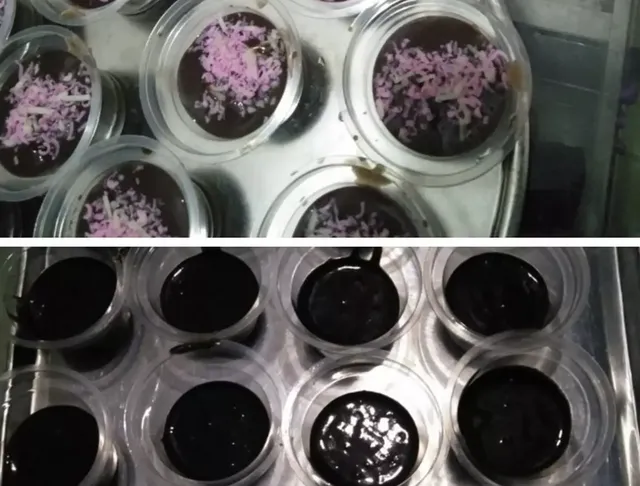 resep brownies kukus untuk jualan 1000an
