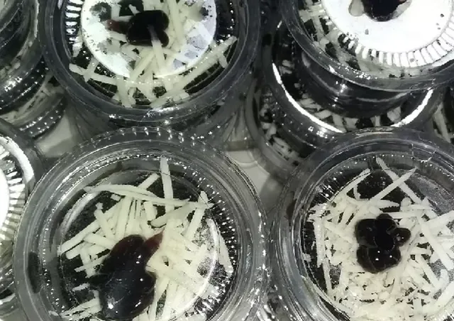 resep brownies kukus untuk jualan 1000an