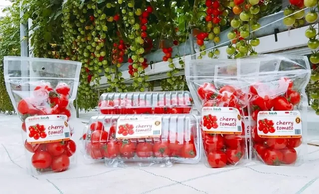 contoh iklan produk makanan sehat