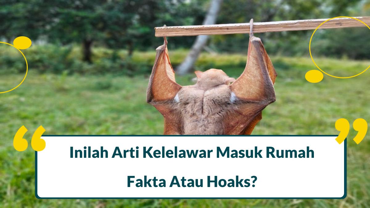 6 Arti Kelelawar Masuk Rumah: Fakta atau Hoaks?